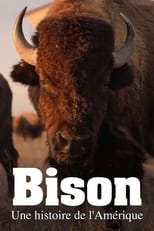 Bison : une histoire de l\'Amérique