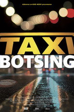 Poster de la película Taxibotsing