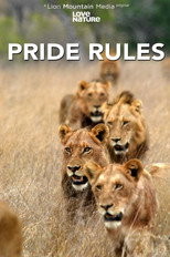 Poster de la serie Pride Rules