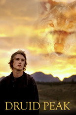 Poster de la película Druid Peak