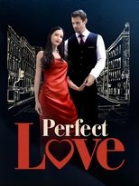 Poster de la serie Perfect Love