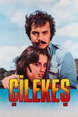 Poster de la película Çilekeş