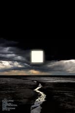 Poster de la película Porcupine Tree: Closure / Continuation. Live. Amsterdam 07/11/22