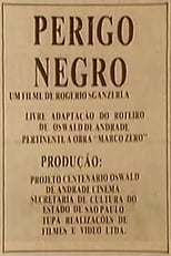 Poster de la película Perigo Negro