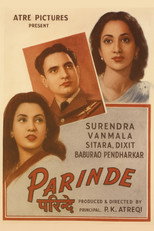 Poster de la película Parinde