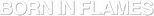 Logo Born in Flames