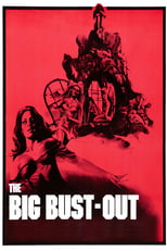 Poster de la película The Big Bust Out