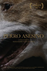 Poster de la película Perro Asesino