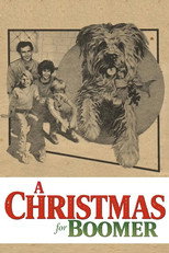 Poster de la película A Christmas for Boomer