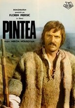 Poster de la película Pintea