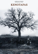 Poster de la película Cenotaph