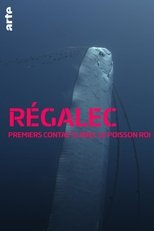 Poster de la película Régalec, premiers contacts avec le poisson roi