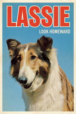 Poster de la película Look Homeward