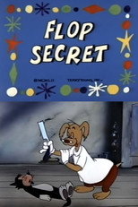 Poster de la película Flop Secret