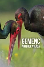 Poster de la película Gemenc - Árterek világa