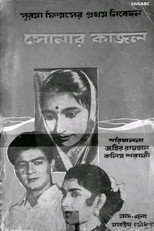 Poster de la película Sonar Kajol