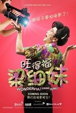 Poster de la película Wonderful! Liang Xi Mei