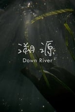 Poster de la película Down River