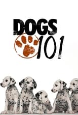 Poster de la serie Dogs 101