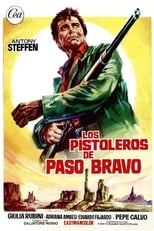 Poster de la película Los pistoleros de Paso Bravo