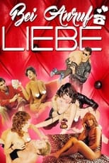 Poster de la película Bei Anruf Liebe