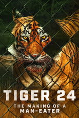 Poster de la película Tiger 24