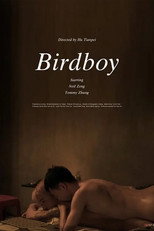 Poster de la película Birdboy