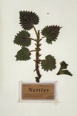 Poster de la película Nettles
