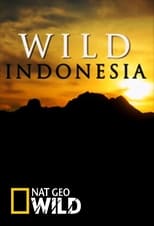 Poster de la serie Wild Indonesia