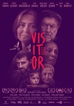 Poster de la película The Visitor