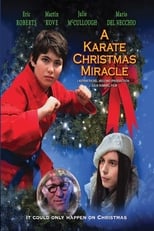 Poster de la película A Karate Christmas Miracle