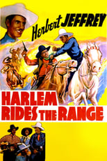 Poster de la película Harlem Rides the Range