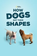 Poster de la película How Dogs Got Their Shapes