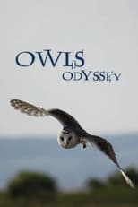 Poster de la película Owl's Odyssey