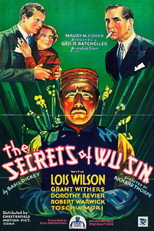 Poster de la película The Secrets of Wu Sin