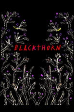 Poster de la película Blackthorn