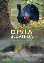 Poster de la película Wild Slovenia