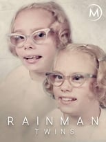 Poster de la película Rainman Twins