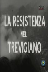 Poster de la película La resistenza nel Trevigiano