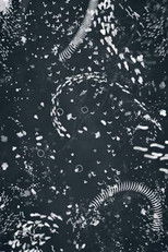 Poster de la película A4 Microcosm