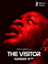 Poster de la película The Visitor