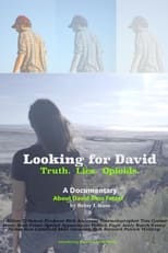 Poster de la película Looking for David