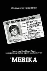 Poster de la película 'Merika