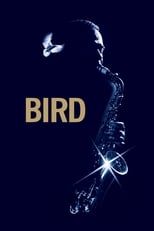 Poster de la película Bird