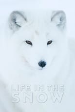 Poster de la película Life In The Snow