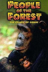 Poster de la película People of the Forest: The Chimps of Gombe