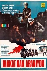 Poster de la película Dikkat Kan Aranıyor