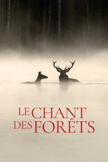 Poster de la película Whispers in the Woods