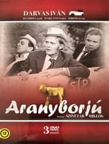 Poster de la película Aranyborjú