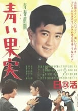 Poster de la película Seishun zenki: Aoi kajitsu